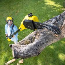 Best Tree Mulching  in Heritage Lake, IN