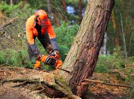 Best Lawn Pest Prevention  in Heritage Lake, IN