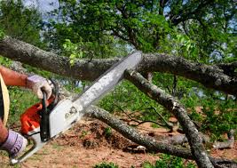 How Our Tree Care Process Works  in  Heritage Lake, IN