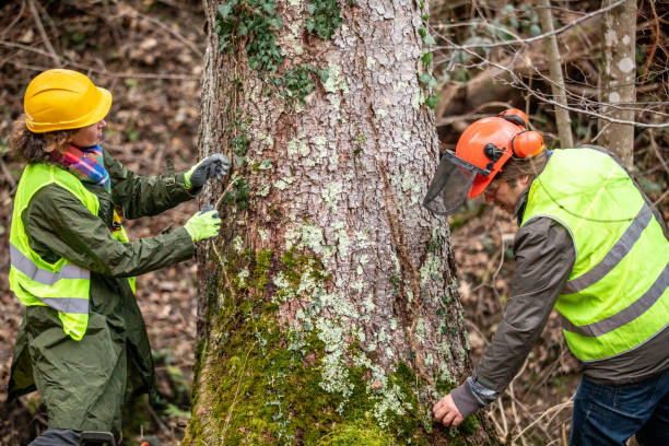 Best Tree Risk Assessment  in Heritage Lake, IN